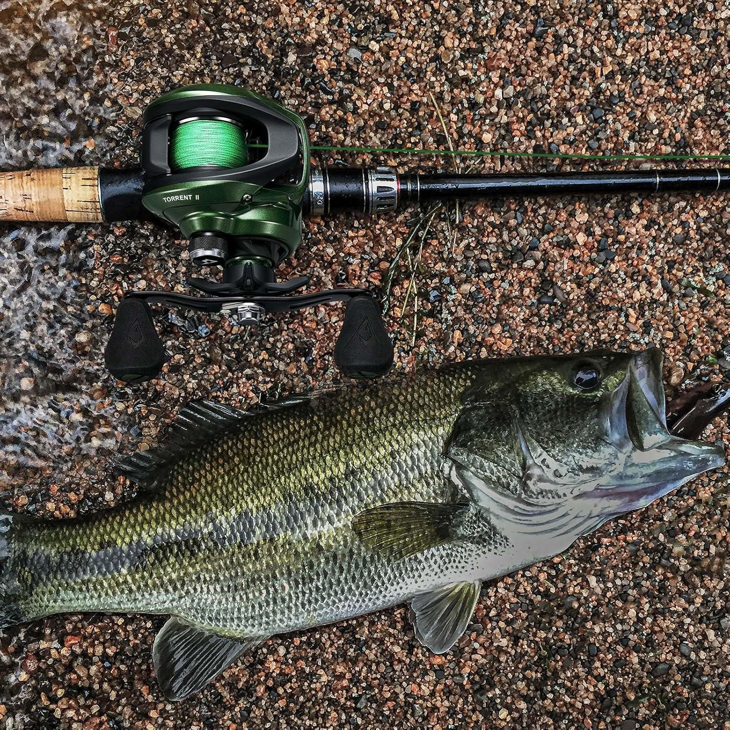 imagePiscifun Torrent II Baitcasting Fishing Reel 20LB Carbon Fiber Drag Baitcasters 661811 Gear Ratio ampamp Magnet Braking System Low Profile Casting Reel LeftRight HandedGreenLeft Hand Retrieve