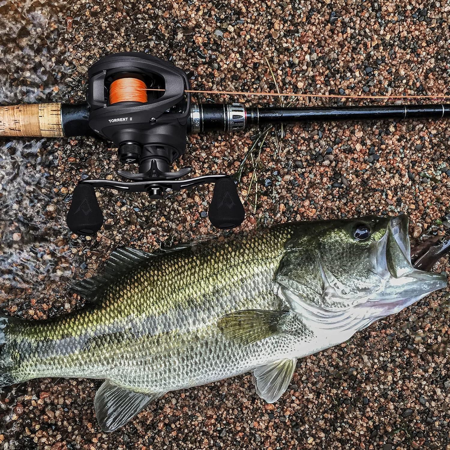 imagePiscifun Torrent II Baitcasting Fishing Reel 20LB Carbon Fiber Drag Baitcasters 661811 Gear Ratio ampamp Magnet Braking System Low Profile Casting Reel LeftRight HandedGreyLeft Hand Retrieve